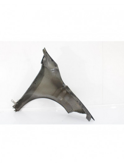 Aleta delantera izquierda RENAULT MEGANE III COUPE Dynamique 2010