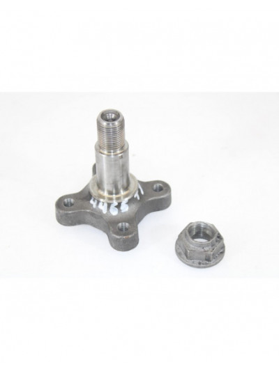 Recambio de buje para renault kangoo extrem referencia OEM IAM 4465TI