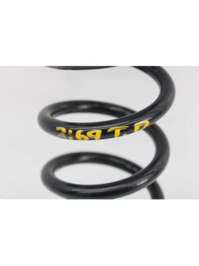 Recambio de muelle amortiguacion para renault scenic iv bose-edition referencia OEM IAM TRAS.DER.