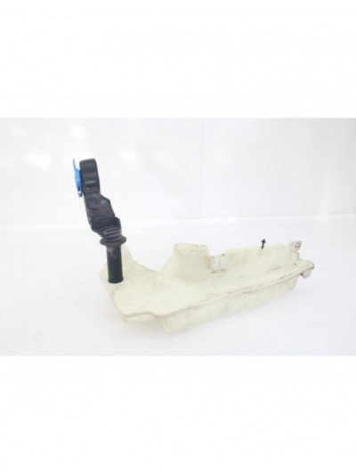 Depósito limpia AUDI A6 C6 3.0 TDI quattro 2005