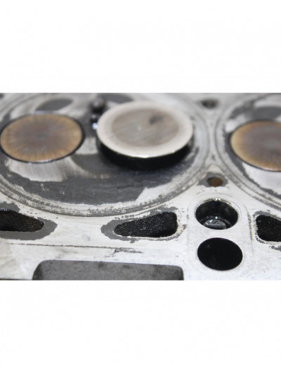 Culata SEAT CORDOBA BERLINA Reference Diesel 101CV 74KW 2007