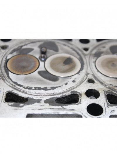 Culata SEAT CORDOBA BERLINA Reference Diesel 101CV 74KW 2007