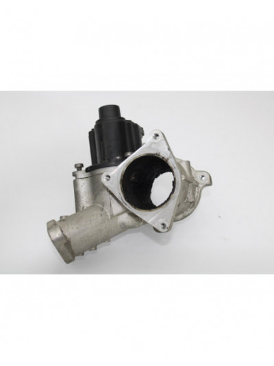 Válvula EGR SEAT LEON Reference Ecomotive 2009